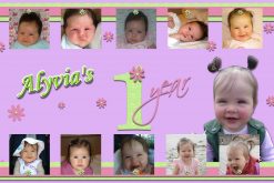 babys 1st year collage