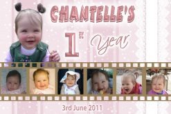 babys 1st year collage