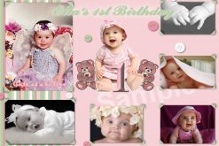 babys 1st year collage