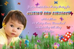 butterfly invitations